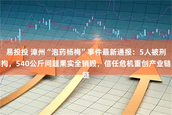易投投 漳州“泡药杨梅”事件最新通报：5人被刑拘，540公斤问题果实全销毁，信任危机重创产业链