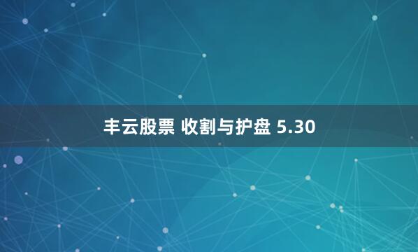 丰云股票 收割与护盘 5.30