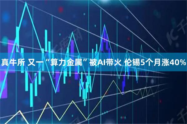 真牛所 又一“算力金属”被AI带火 伦锡5个月涨40%
