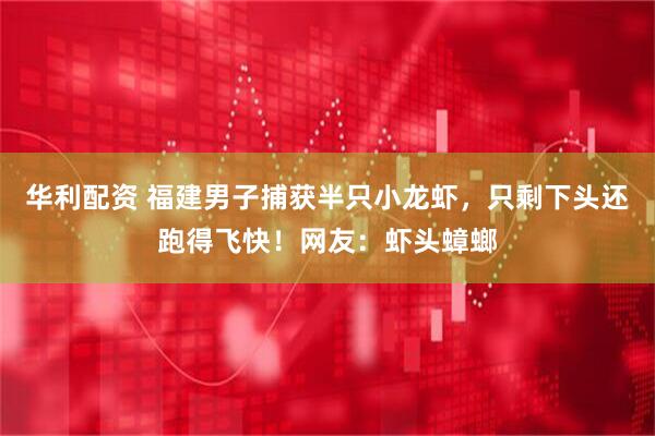 华利配资 福建男子捕获半只小龙虾，只剩下头还跑得飞快！网友：虾头蟑螂