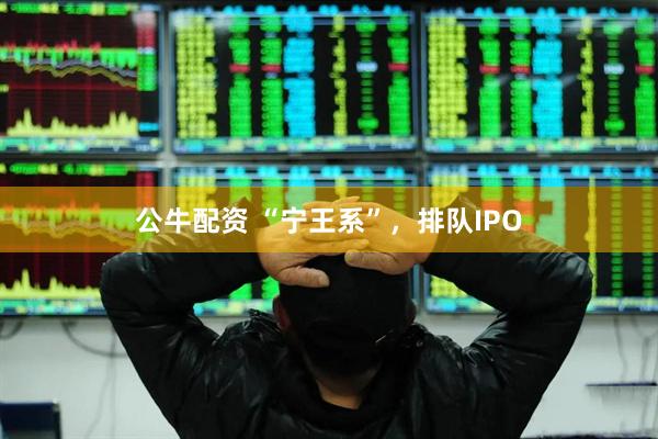 公牛配资 “宁王系”，排队IPO