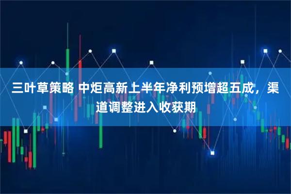 三叶草策略 中炬高新上半年净利预增超五成，渠道调整进入收获期