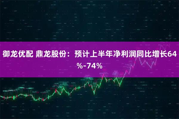 御龙优配 鼎龙股份：预计上半年净利润同比增长64%-74%