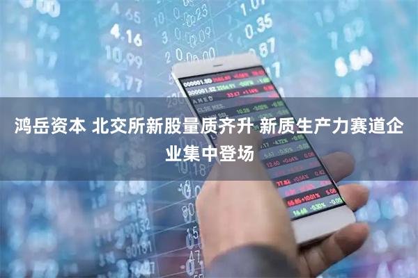 鸿岳资本 北交所新股量质齐升 新质生产力赛道企业集中登场